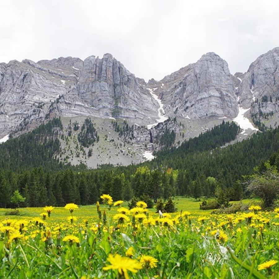 Atico Con Encanto En Bellver De Cerdanya Διαμέρισμα Εξωτερικό φωτογραφία