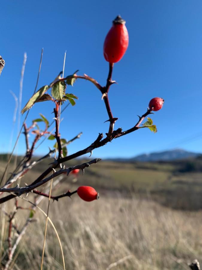 Atico Con Encanto En Bellver De Cerdanya Διαμέρισμα Εξωτερικό φωτογραφία